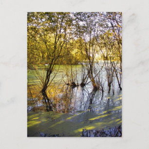 CARTÃO POSTAL LAKES