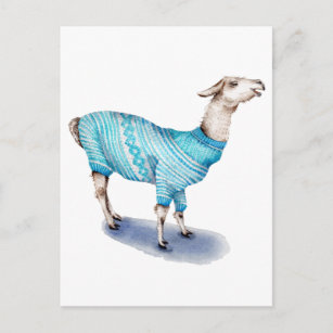 Cartão Postal Lama da aguarela na camisola azul