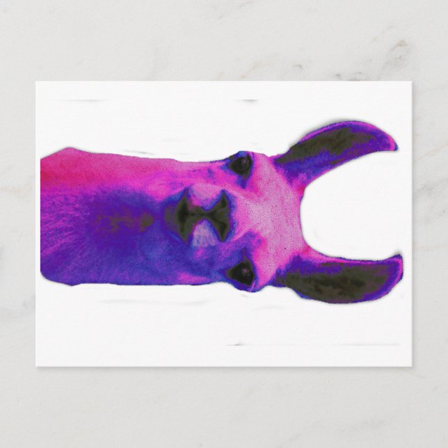 Cartão Postal Lama Gráfico Rosa (Frente)