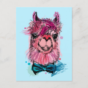Cartão Postal Lama Rosa Bonita