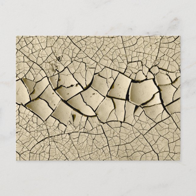 Cartão Postal Lama seca (Frente)
