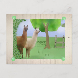 Cartão Postal Lamas