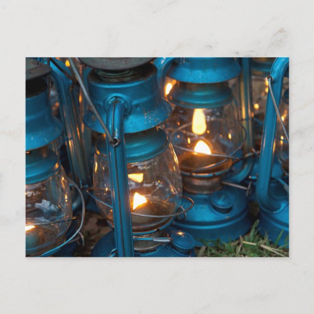 Cartão Postal Lamas de Kerosene | Campo Ol Pejeta Bush (Frente)