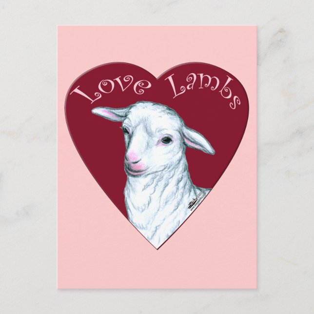 Cartão Postal Lambs de Amor (Frente)