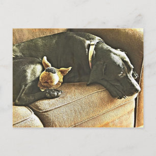 Cartão Postal Lamenta