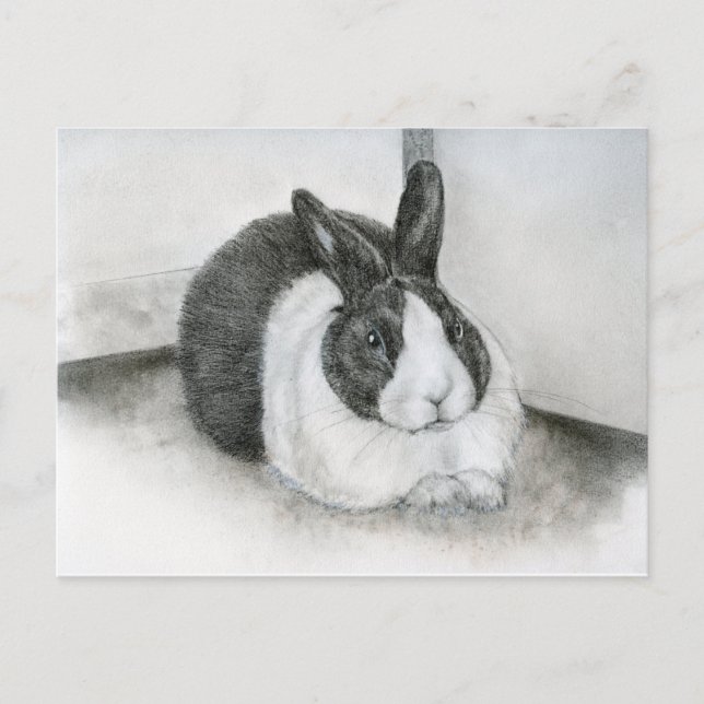 Cartão Postal Lancelot (Frente)