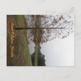 Cartão Postal Land O"Lagos Lake Scene