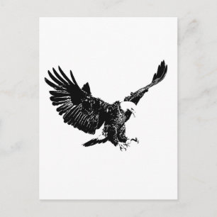 Cartão Postal Landing Eagle Silhouette
