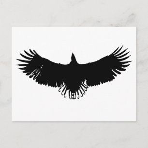 Cartão Postal Landing Eagle Silhouette