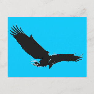 Cartão Postal Landing Eagle Silhouette
