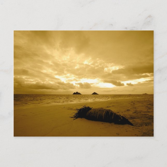 Cartão postal Lanikai Sunrise (Frente)