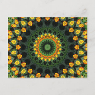 Cartão Postal Lantana Kaleidoscope 1, muito bonita, laranja e am
