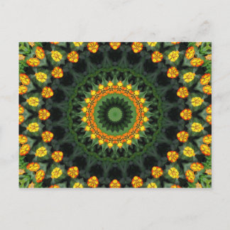 Cartão Postal Lantana Kaleidoscope 1, muito bonita, laranja e am