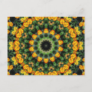 Cartão Postal Lantana Kaleidoscópio 2, uma bela laranja e amarel