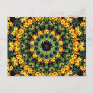 Cartão Postal Lantana Kaleidoscópio 2, uma bela laranja e amarel
