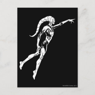 Cartão Postal Lanterna Azul 11