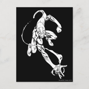 Cartão Postal Lanterna Azul 9