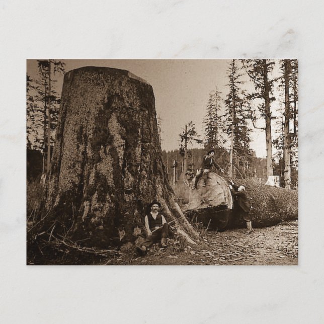 Cartão Postal Lanterna Mágica 1903 Lintage Lumberjacks (Frente)