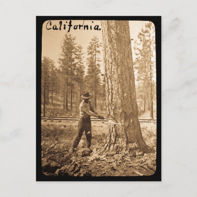 Cartão Postal Lanterna Mágica no Vale do Butte, CA (Frente)