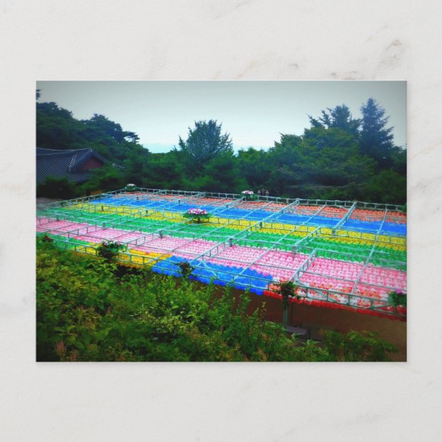 Cartão Postal Lanternas em Seokguram Grotto, Coreia do Sul (Frente)