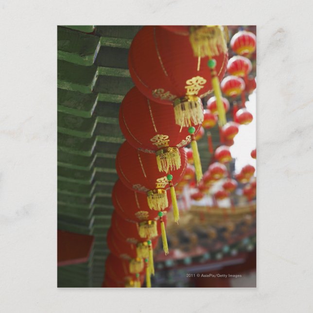Cartão Postal Lanternas vermelhas chinesas penduradas no templo (Frente)