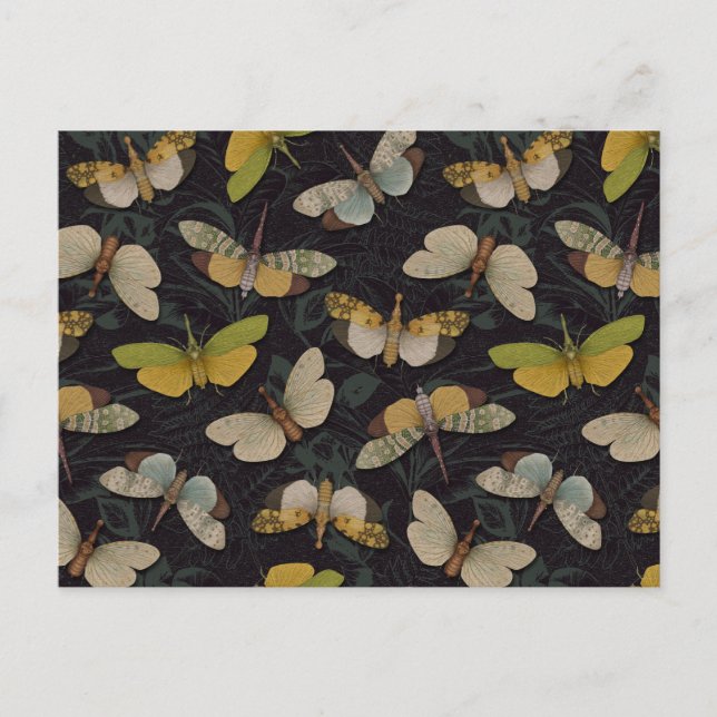 Cartão Postal Lanternófilos - Píropos Candelaria e Outros Planth (Frente)