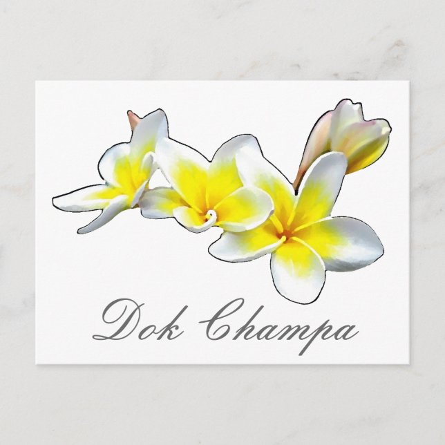 CARTÃO POSTAL LAO FLOWER DOK CHAMPA - PLUMERIA RUBRA (Frente)
