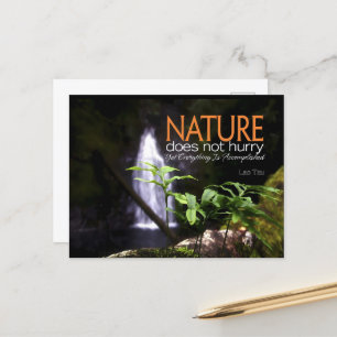 Cartão Postal Lao Tzu Citação Inspiracional "Natureza"