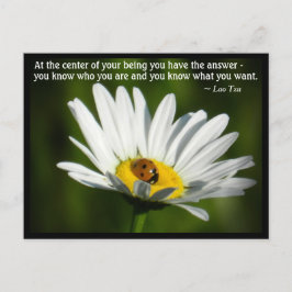 Cartão Postal Lao Tzu Citação Ladybird Daisy Motivação Inspirado