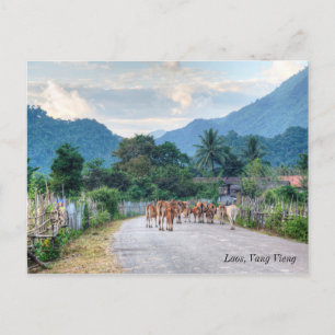 Cartão Postal Laos, Vang Vieng