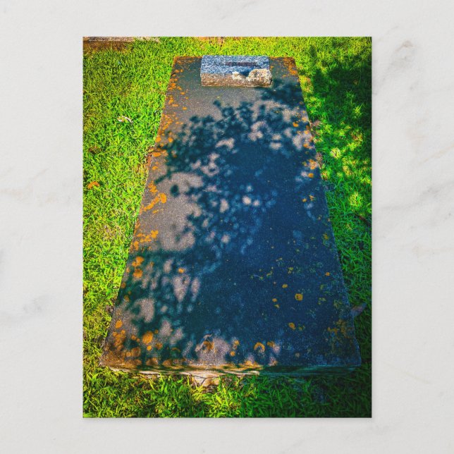 Cartão Postal Lápide Plana com Sombras de Folhas (Frente)
