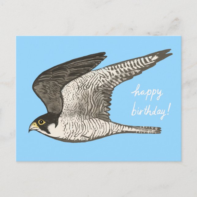 Cartão Postal Lápis de Cor do Falcão Peregrino FELIZ ANIVERSÁRIO (Frente)