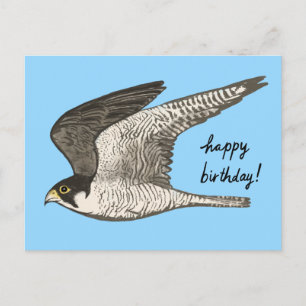 Cartão Postal Lápis de Cor Falcão-peregrino FELIZ ANIVERSÁRIO