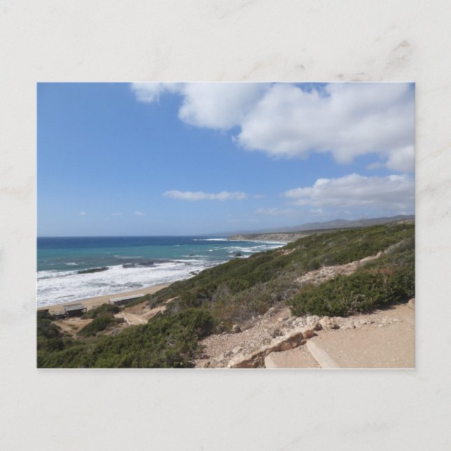 Cartão Postal Lara Beach, Paphos, Chipre (Frente)