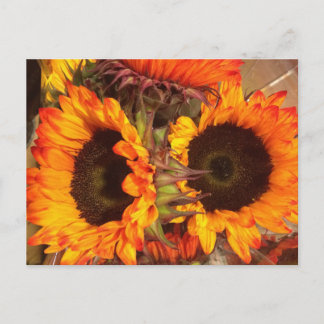 Cartão Postal Laranja