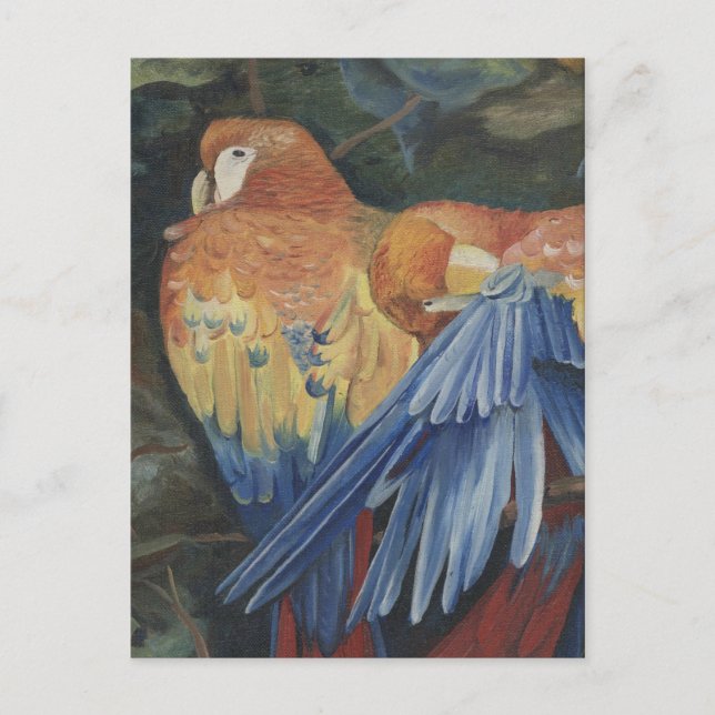 Cartão Postal laranja (Frente)