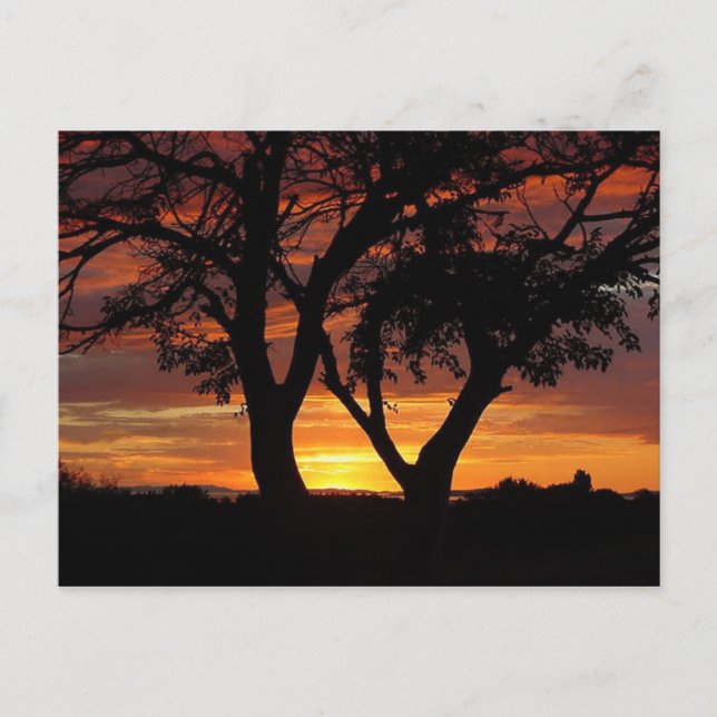 Cartão Postal Laranja (Frente)