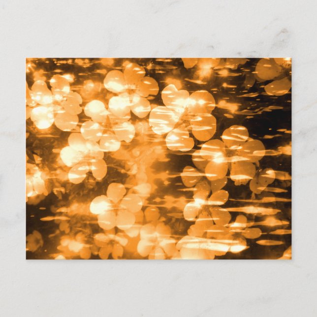 Cartão Postal Laranja Alegre Brilhante Criação Floral Bonita (Frente)