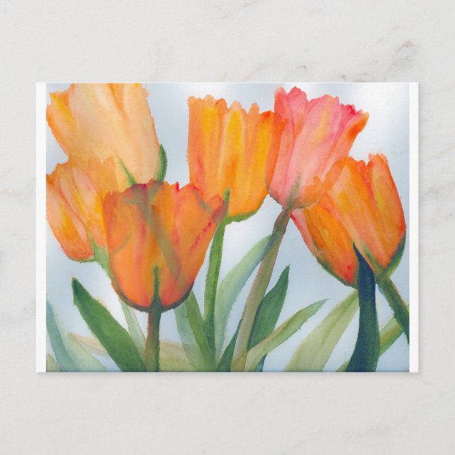 Cartão Postal Laranja Citrus Tulips (Frente)
