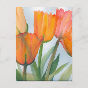 Cartão Postal Laranja Citrus Tulips