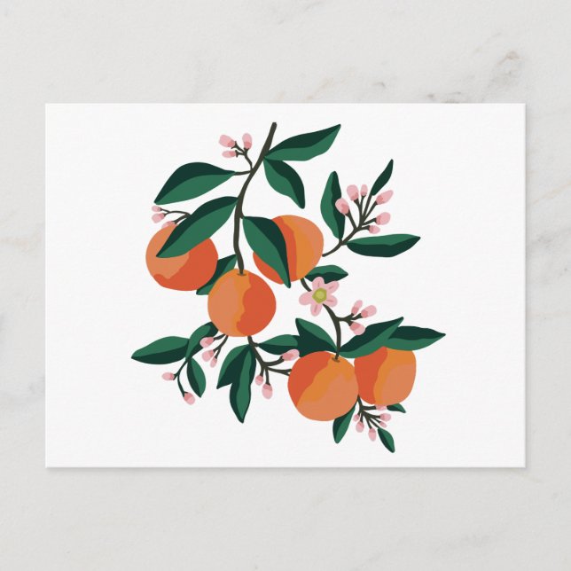 Cartão Postal Laranja e flores minimalistas (Frente)