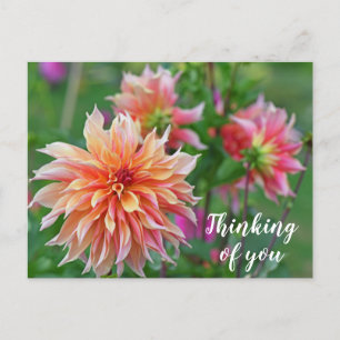 Cartão Postal Laranja e Rosa Dahlia Flores Pensando em você
