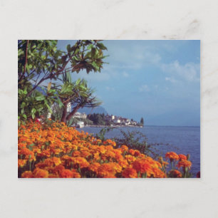 Cartão Postal Laranja Lake Genebra, Montreux, flores de Suiça