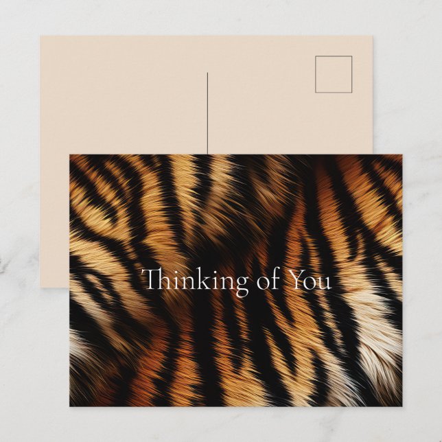 Cartão Postal Laranja Preto Tigre Impressão Animal (Frente/Verso)