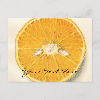 Cartão postal Laranja Vintage
