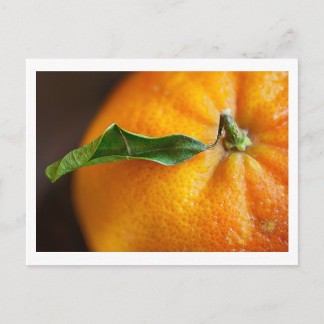 Cartão Postal Laranja você está feliz? (Frente)