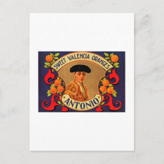 Cartão Postal Laranjas Antonio Sweet Valencia