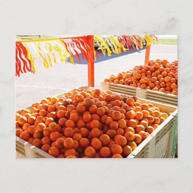 Cartão Postal Laranjas da Flórida (Frente)