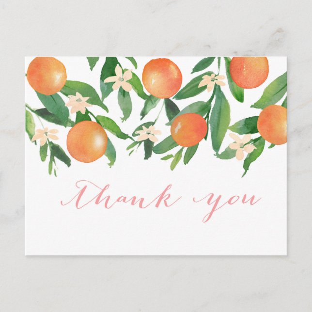 Cartão Postal Laranjas de Aquarelas Citrus fruta flor obrigado v (Frente)