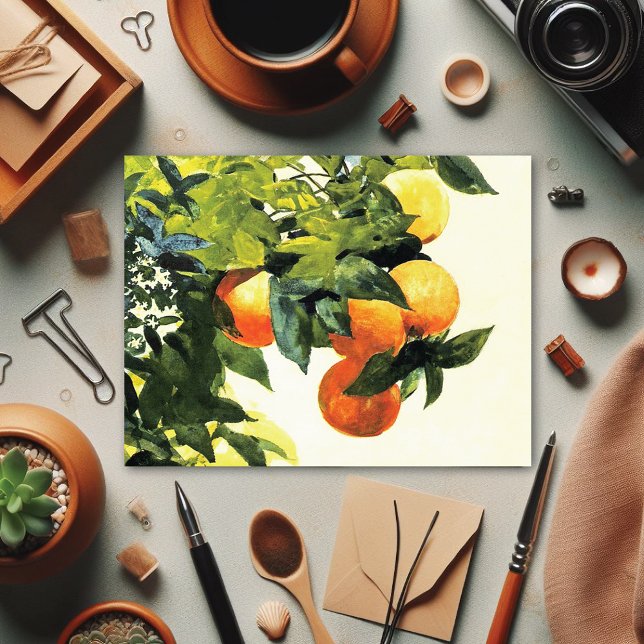 Cartão Postal Laranjas em um Ramo Winslow Homer Fine Art Postcar (Criador carregado)